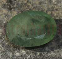 No Image Found
